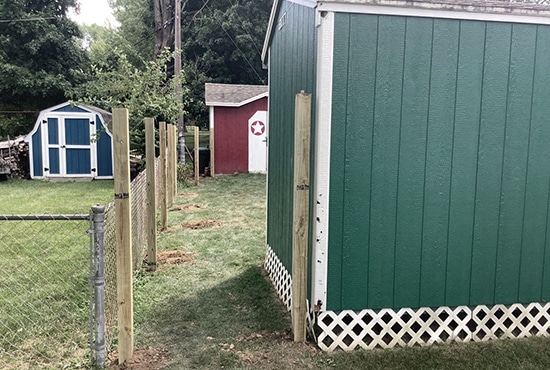 Before Backyard Privacy Fence